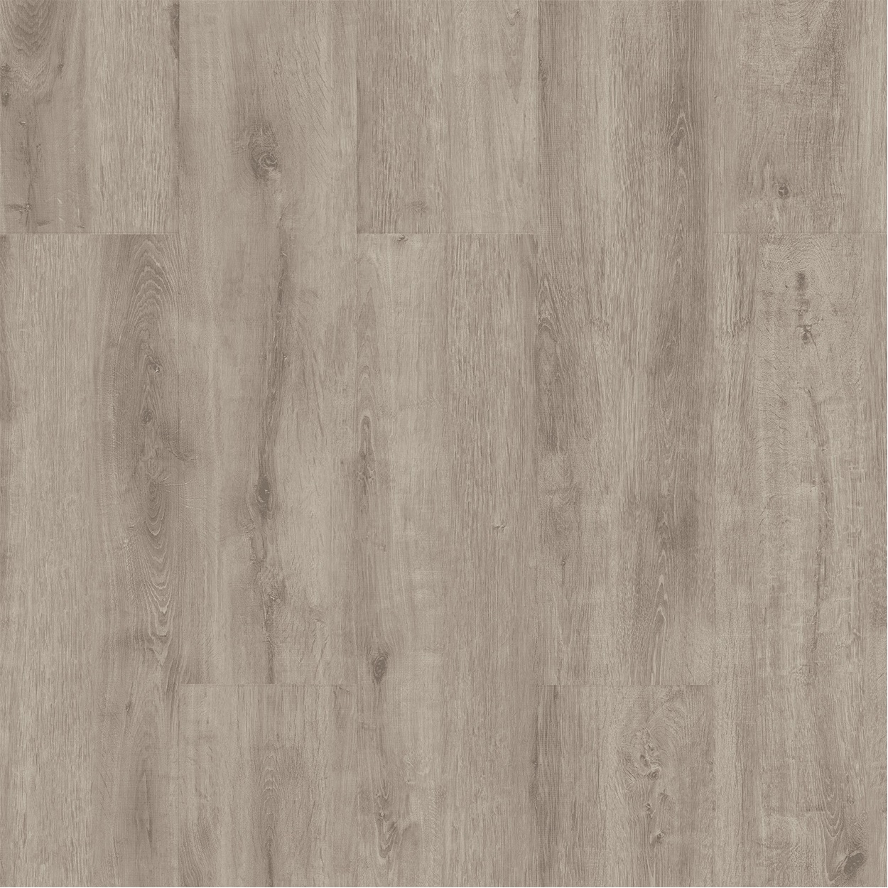 Çamsan Acar Meşe 5004 - Detay