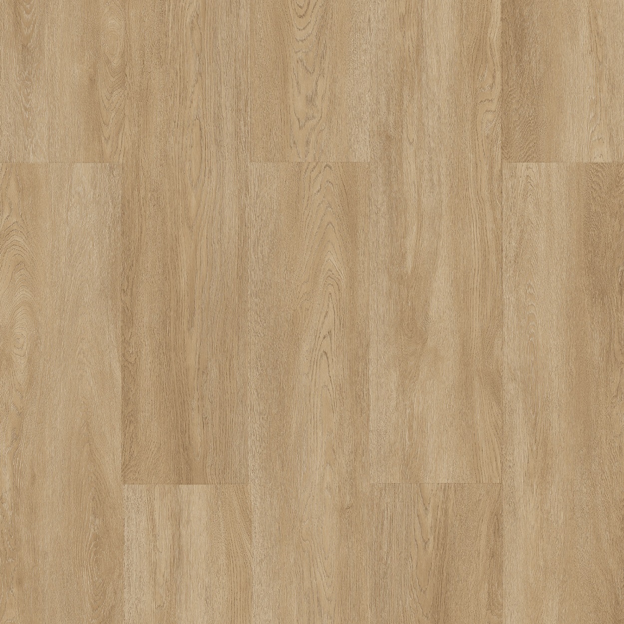 Çamsan Atlas Meşe 5009 - Detay