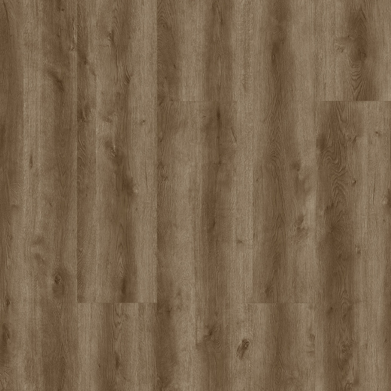 Çamsan Didim Meşe 5007 - Detay