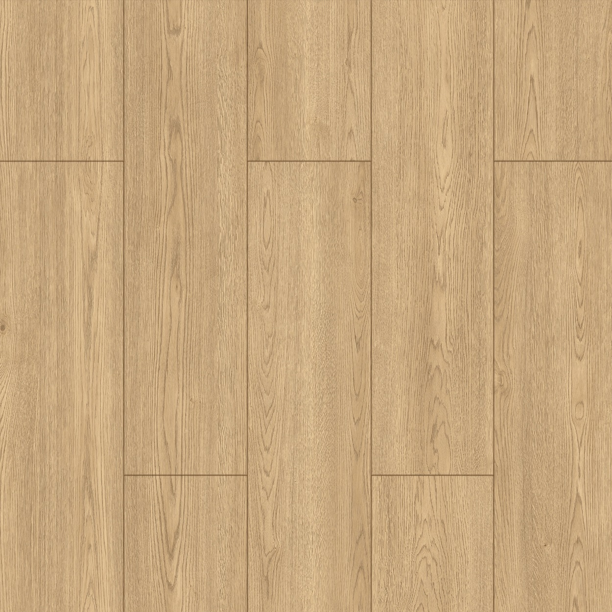 Çamsan Falya 718 - Detay