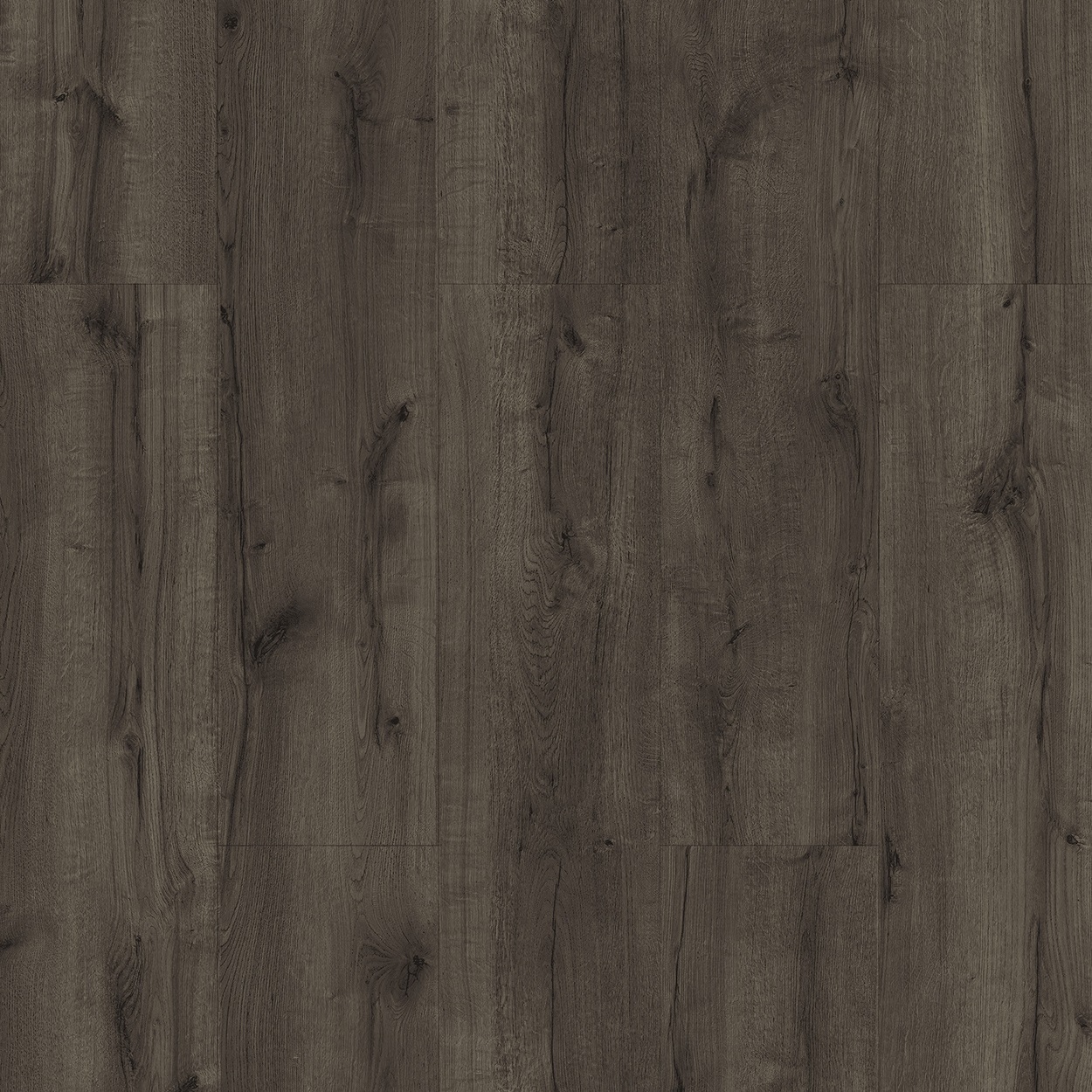 Çamsan Pera Meşe 714 - Detay