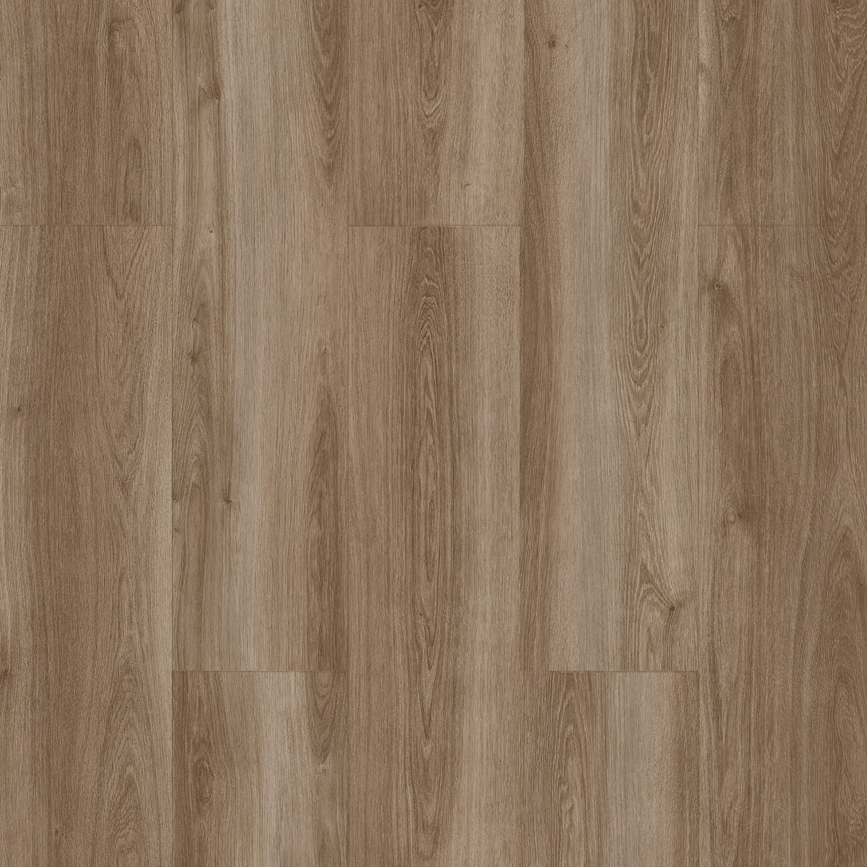 Çamsan Polar Meşe 5008 - Detay