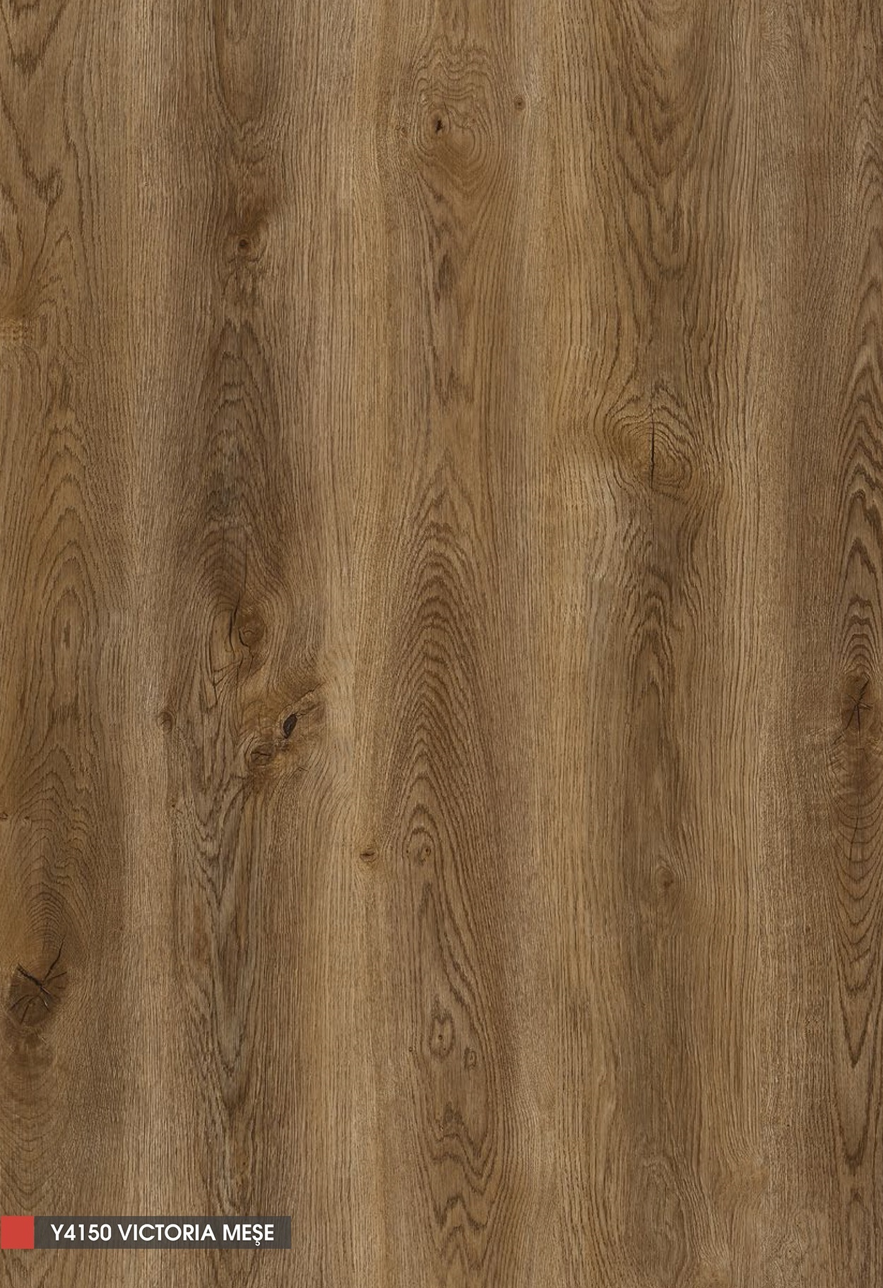 Yılmazlar Classic Diamond Victoria MeşeY4150 - Detay